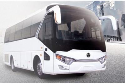 8m luxury Chery Coaches WD6810HDB1