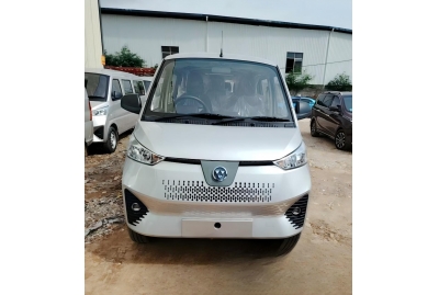 EV VAN
